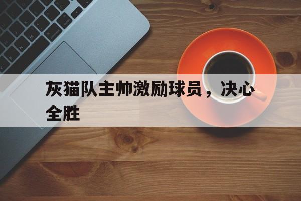 九游娱乐入口-灰猫队主帅激励球员，决心全胜的简单介绍